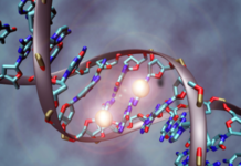 2015, Gene-editing Awakens