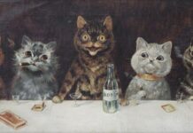 Schizophrenia Killed The Cat