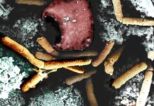 Bioterrorism: Lessons Learned From Anthrax