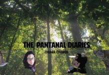 The Pantanal Diaries IV: Not Ready To Leave