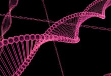 A Step Closer To Artificial Human Beings?