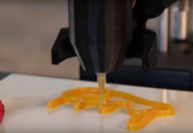 3D Printed Food