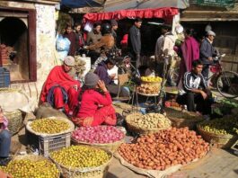 How Food Shapes Our Cities