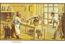 Where Did Your Favourite Food Came From?