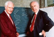 The Discovery of DNA Structure – Who Stayed in the Shadows of a Nobel?