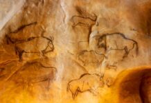 The Hunt for the Higgs Bison Is Over