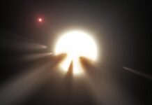 The Most Interesting Stellar System Of All?