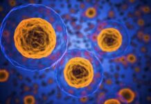 Finding the Best Personalized Cancer Therapy