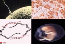 Our 5 Favorite Stories From Last Week- Health&Medicine