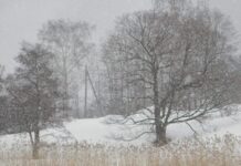 The Ides of March– the Day the Red River Valley Faced the Deadliest Blizzard of the Century