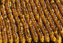 From Sensing Proximity to Understanding Crowd Behavior