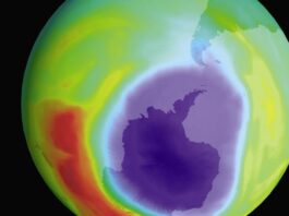 The Vienna Convention – the Day the World Decided to Save the Planet