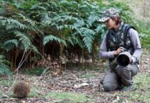 4 Ways Machine Learning Protects the Environment