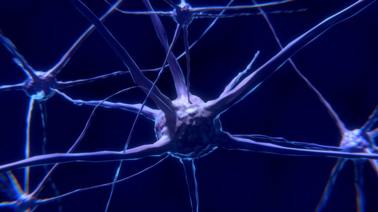 Lack of Sleep Triggers the Brain to Eat Its Cells Uncontrollably