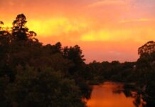 Learning to Learn with Bushfires