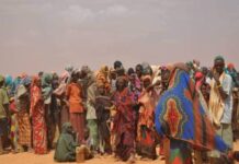 Trauma and Cultural Identity of Refugees