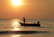 The Politics of Fisheries Science – Here to Stay?