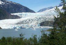 The Swiftness of Glaciers: Language in a Time of Climate Change