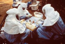 Real-Time Projections of Ebola Outbreak in the Democratic Republic of Congo