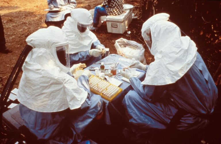 Real-Time Projections of Ebola Outbreak in the Democratic Republic of Congo