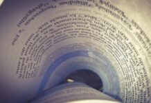 The Elusive Foolproof Theory of the Origin of Language