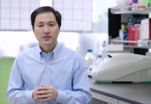 CRISPR Babies, Inexistent Cardiac Stem Cells and deGrasse Tsyon’s Response. This week’s Top Stories