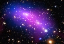 Digging for Dark Matter