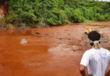 Polar Vortex, Environmental Crimes and Deep Sleep