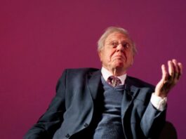 Sir David Attenborough: The Beloved TV Icon Has Brought Nature to Our Screens