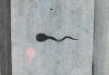 Continued Contact with Semen Shields Women Against HIV Acquisition