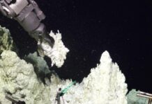 Searching for Life Underneath the Lost City