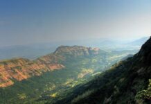 The Asteroid Triggered the Mass Extinction. Volcanism Shaped Life Afterwards, According to a New Study