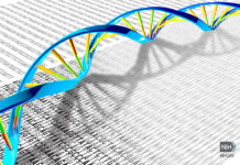 Study Reveals Geographic Differences in the SARS-CoV-2 Genomes