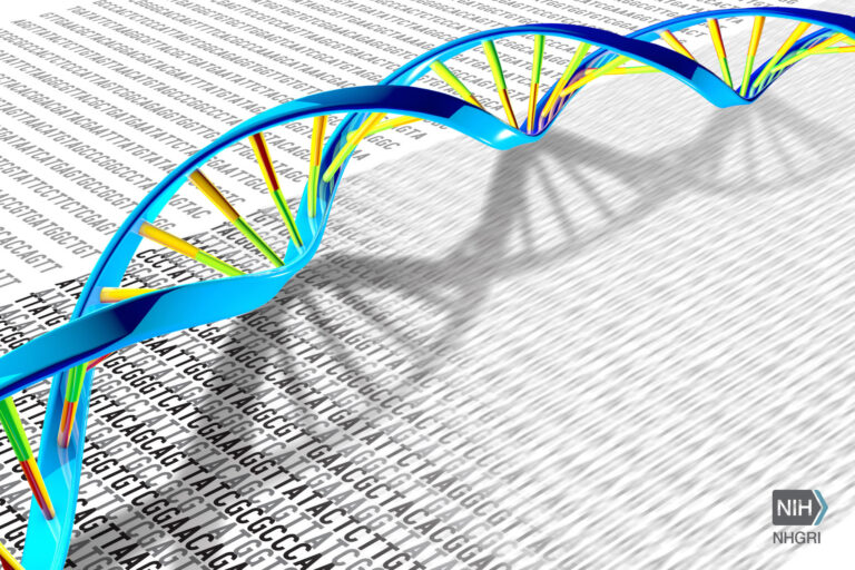 Study Reveals Geographic Differences in the SARS-CoV-2 Genomes
