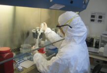 Researchers Clone SARS-CoV2 in One Week