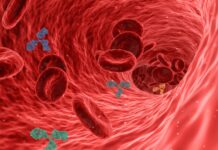 Nearly Every Recovered Covid-19 Patient Has Antibodies Against the Virus