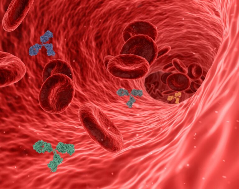 Nearly Every Recovered Covid-19 Patient Has Antibodies Against the Virus