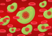 Infection with Sars-CoV-2 Renders a Robust Antibody Response for at least Three Months