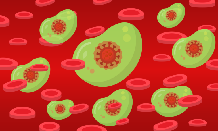 Infection with Sars-CoV-2 Renders a Robust Antibody Response for at least Three Months