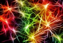 Light, the Brain Stimulator