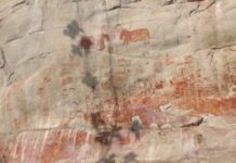 12,500 Years Old Rock Art Revealed in Colombian Amazon