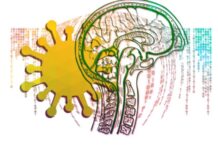 The Cognitive Sequels of Covid-19