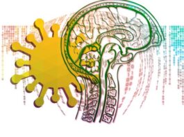 The Cognitive Sequels of Covid-19