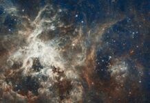 Space-Related Events that Closed Out 2020