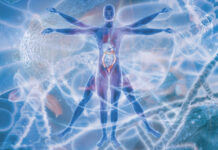 Our Ancient Gut: What can we Learn from our Ancestors’ Diet and Lifestyle?