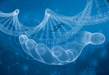 Scientists Discover Ebola Virus Strategy to Trick our Immune System