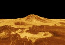 New Look at the Possible Presence of Phosphine in Venus’ Atmosphere