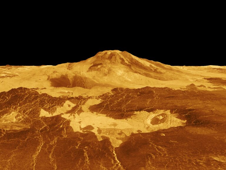 New Look at the Possible Presence of Phosphine in Venus’ Atmosphere