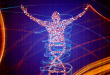 Do Genes Determine Sexual Preferences?