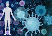 Little Cancer Exterminators: Natural Killer Cells From Our Bodies, a New Treatment for Fighting Cancer